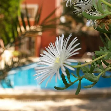 Sa Coma Hotel 3*